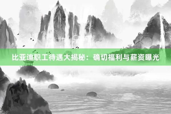 比亚迪职工待遇大揭秘：确切福利与薪资曝光